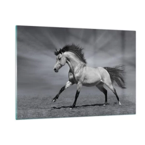 Impression sur verre - Image sur verre - Une photo en noir et blanc d'un cheval galopant dans un champ ouvert. - 120x80cm - Né pour séduire - Décoration murale moderne pour le salon et la chambre ARTTOR