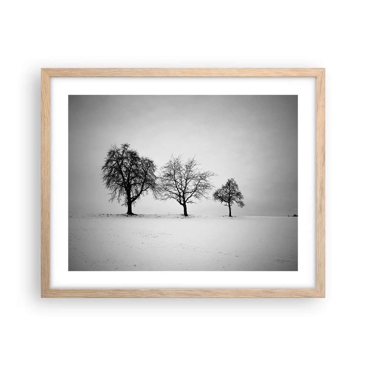 Affiche dans un chêne clair - Poster - A quoi rêvent-ils? - 50x40 cm