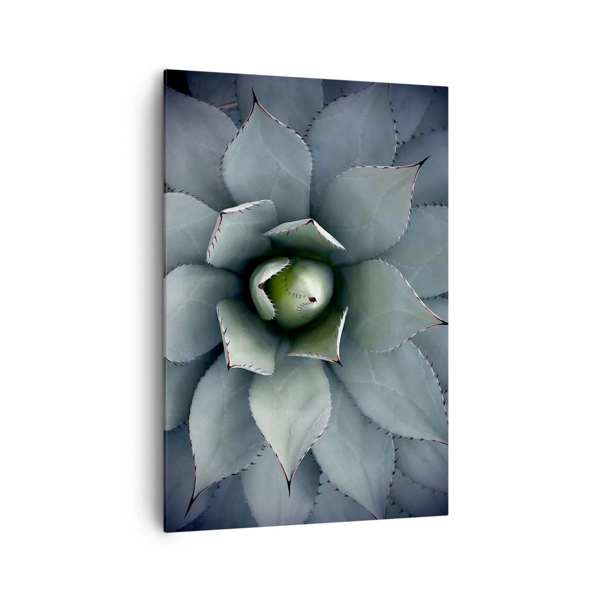 Impression sur toile - Image sur toile - Gros plan d'une rosette d'agave aux délicates nuances de vert - 70x100cm - Wabi et observe - Décoration murale moderne pour le salon et la chambre ARTTOR