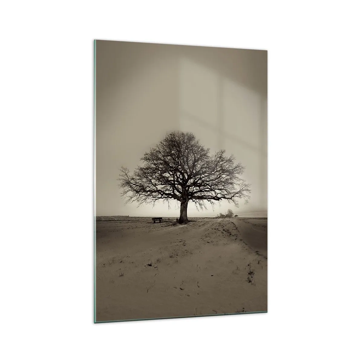 Impression sur verre - Image sur verre - Un arbre solitaire dans un champ de sépia - 70x100cm - D'ici à l'éternité - Décoration murale moderne pour le salon et la chambre ARTTOR
