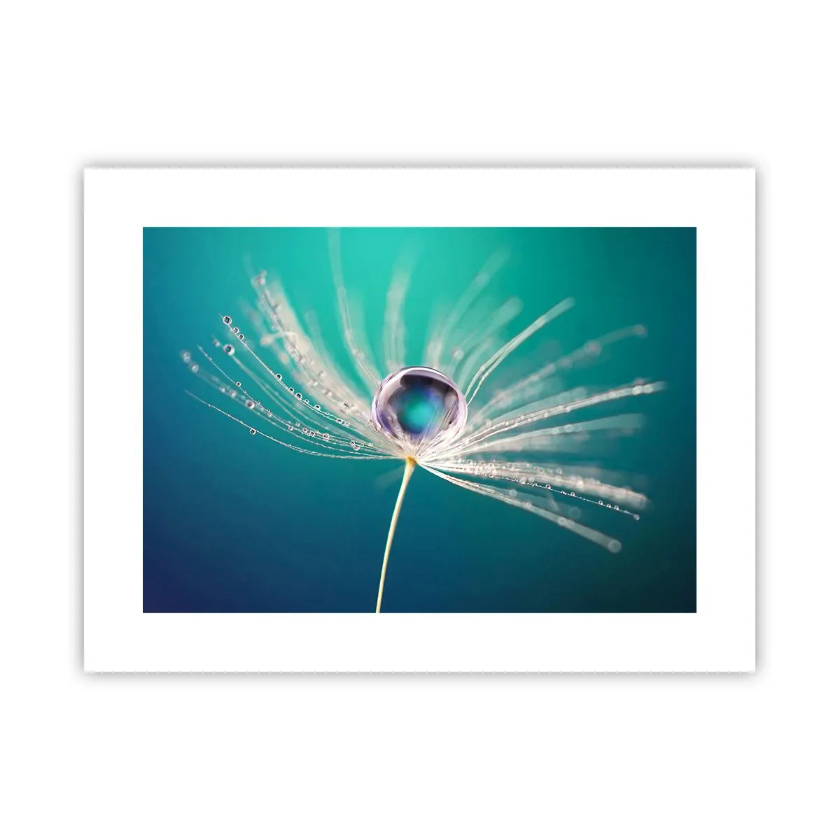 Affiche - Poster - Moment mystique - 40x30 cm