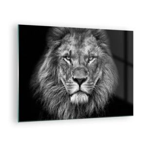 Impression sur verre - Image sur verre - Portrait d'un lion en noir et blanc avec une crinière majestueuse - 70x50cm - En vêtement de sacre - Décoration murale moderne pour le salon et la chambre ARTTOR