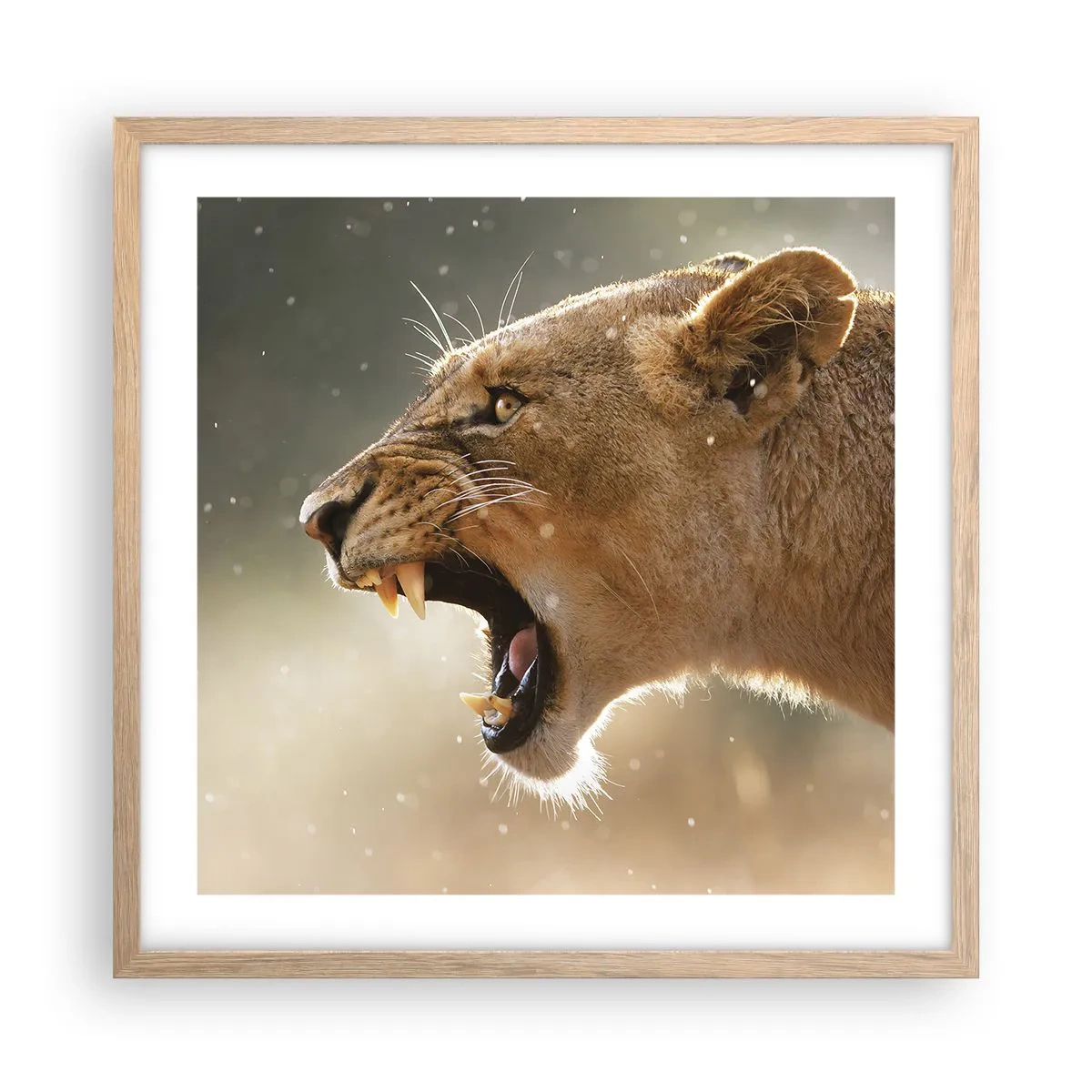 Affiche dans un chêne clair - Poster - Essayez de ne pas écouter - 50x50 cm