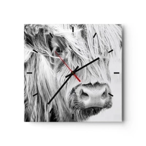 Horloge murale - Pendule murale - Portrait d'une vache écossaise en noir et blanc - 30x30cm - Sauvagerie écossaise - Décoration murale moderne pour le salon et la chambre ARTTOR