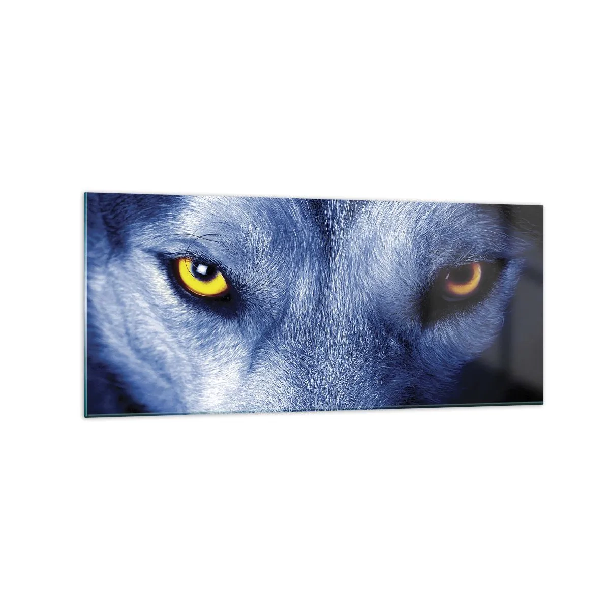 Impression sur verre - Image sur verre - Gros plan du regard intense d'un loup sur un fond sombre - 120x50cm - Regars hypnotique - Décoration murale moderne pour le salon et la chambre ARTTOR