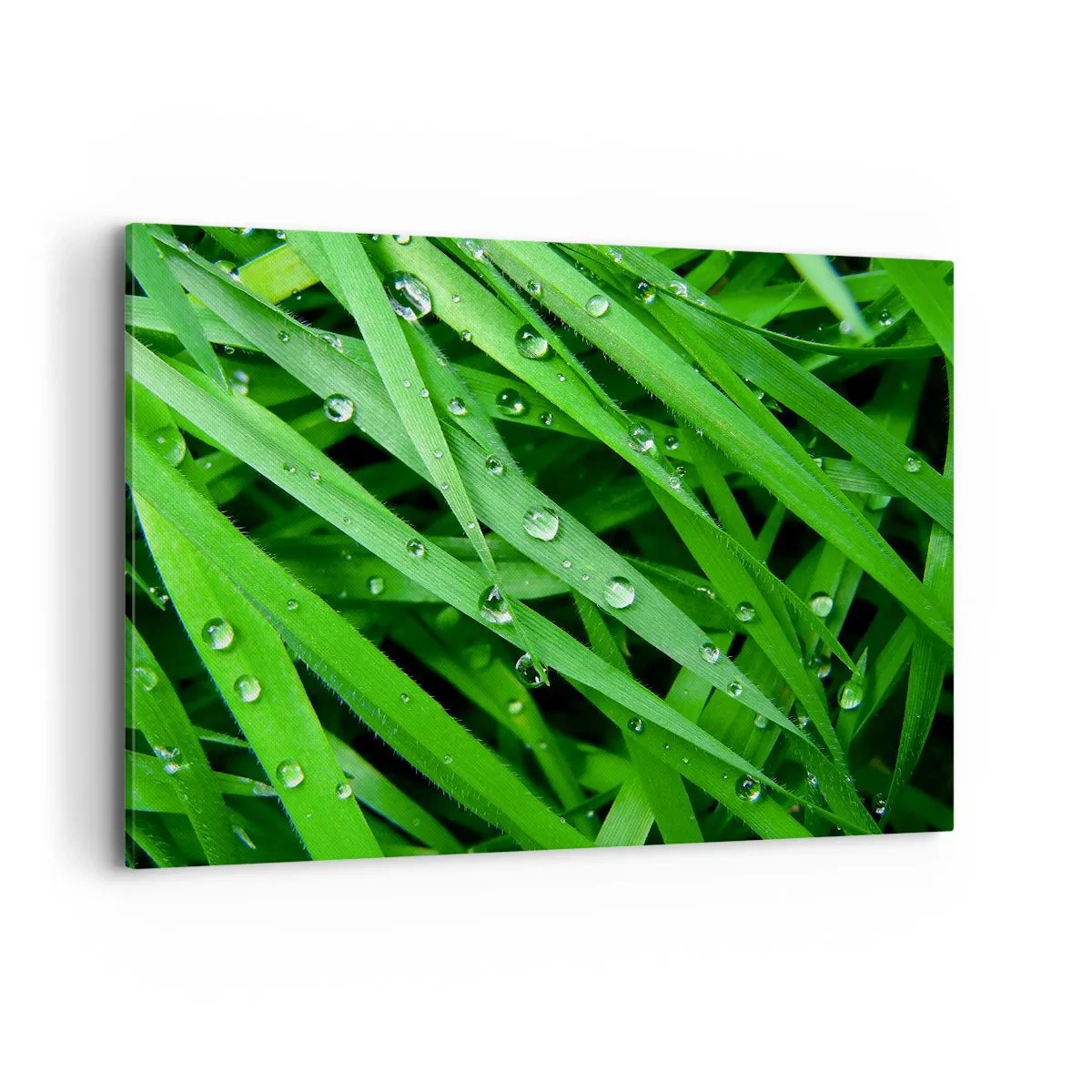 Impression sur toile - Image sur toile - Gros plan de brins d'herbe verte avec des gouttes de rosée - 120x80cm - Jouez dans le vert - Décoration murale moderne pour le salon et la chambre ARTTOR