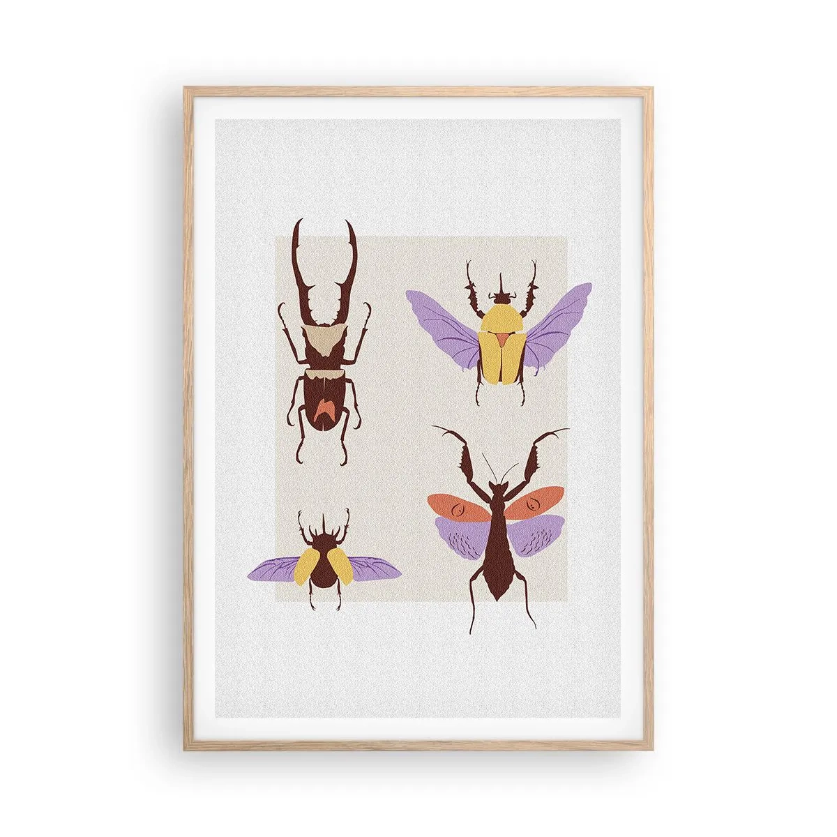 Affiche dans un chêne clair - Poster - Le monde des insectes - 70x100 cm