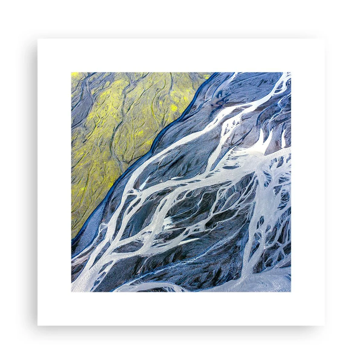 Affiche - Poster - Peintures rupestres de la nature - 30x30 cm