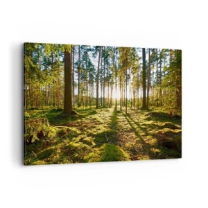Impression sur toile - Image sur toile - Forêt verte illuminée par la lumière du soleil sur la mousse - 100x70cm - … Derrière les sept forêts - Décoration murale moderne pour le salon et la chambre ARTTOR