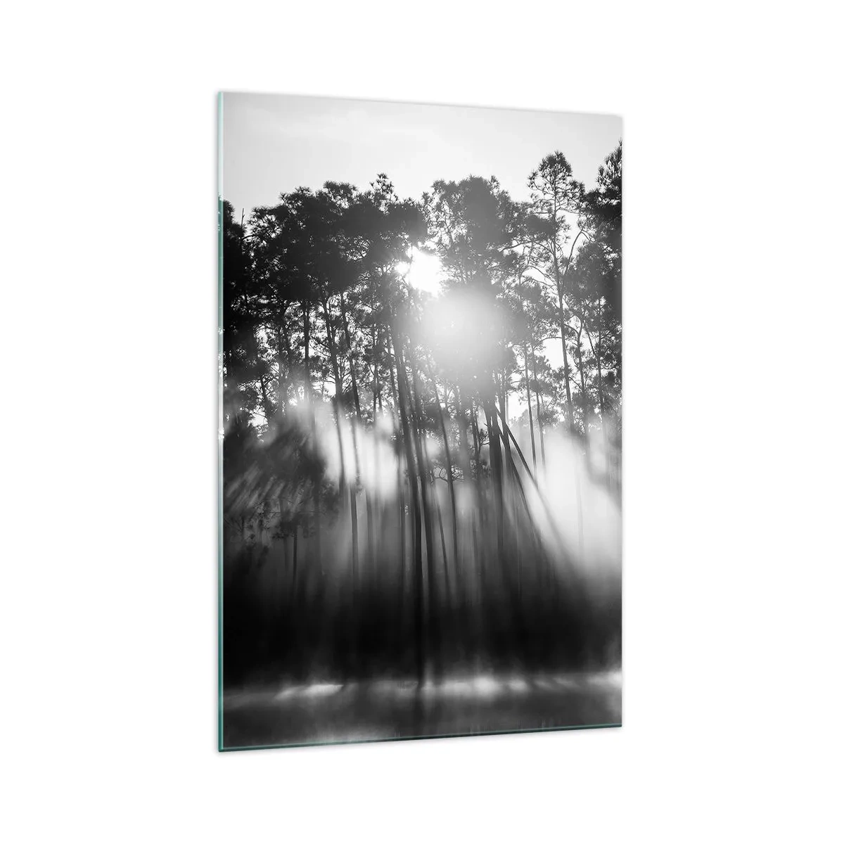 Impression sur verre - Image sur verre - Forêt noire et blanche dans le brouillard du matin - 70x100cm - Soleil inarrêtable - Décoration murale moderne pour le salon et la chambre ARTTOR