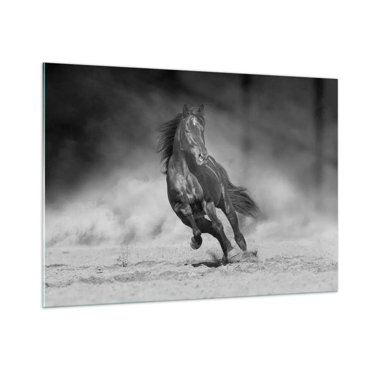 Impression sur verre - Image sur verre - Un cheval noir galopant sur le sable en noir et blanc. - 100x70cm - Digne de l'émir lui-même - Décoration murale moderne pour le salon et la chambre ARTTOR