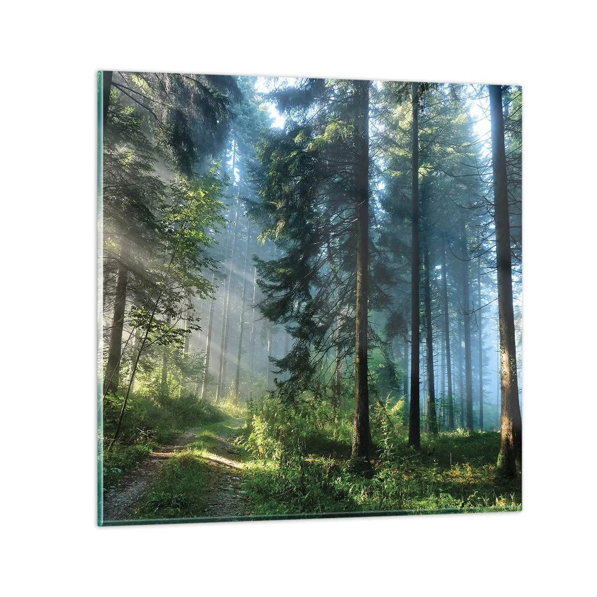 Impression sur verre - Image sur verre - Rayonnant le matin - 30x30 cm