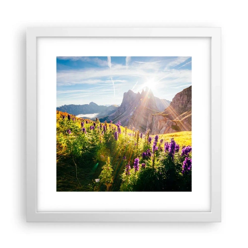 Affiche dans un cadre blanc - Poster - La vie secrète des herbes - 30x30 cm