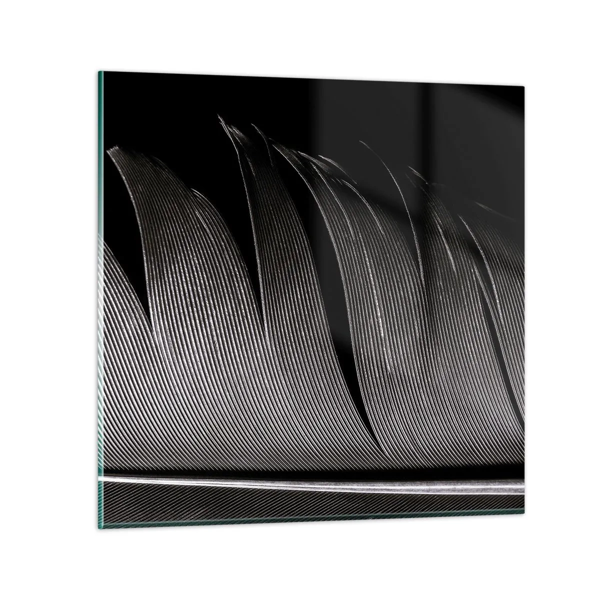 Impression sur verre - Image sur verre - La plume – un design magnifique - 60x60 cm