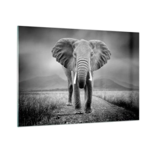 Impression sur verre - Image sur verre - Éléphant dans la savane en noir et blanc - 100x70cm - Les hôtes vous saluent - Décoration murale moderne pour le salon et la chambre ARTTOR