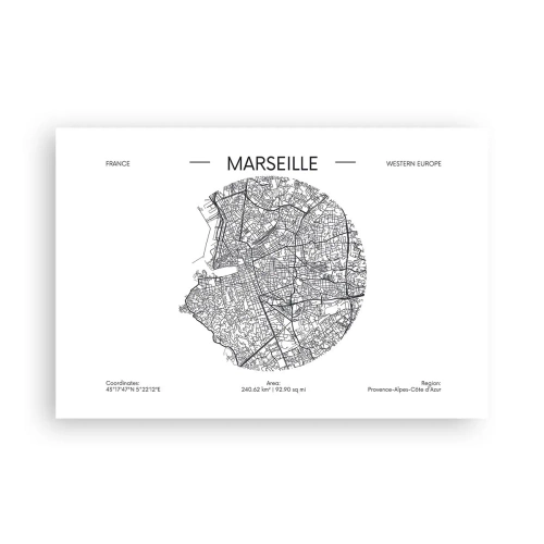 Affiche - Poster - Anatomie de Marseille - 91x61 cm