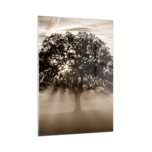 Impression sur verre - Image sur verre - Un arbre dans le brouillard matinal avec les rayons du soleil qui brillent à travers les branches - 50x70cm - Arbre de bonnes nouvelles - Décoration murale moderne pour le salon et la chambre ARTTOR