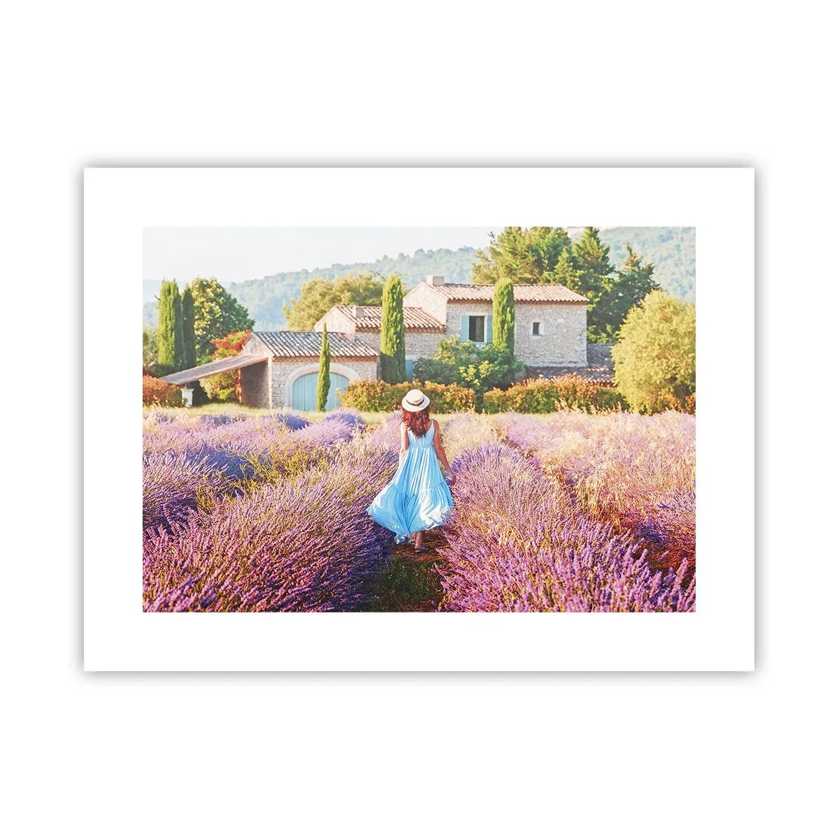 Affiche - Poster - Fille de la lavande - 40x30 cm