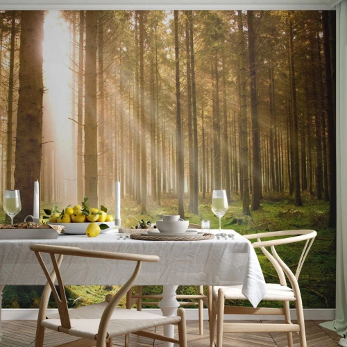 Papier Peint Autocollant Deluxe Sticker - Les elfes vont bientôt apparaître - Forêt, Rayons du soleil, Nature - 100x70 cm