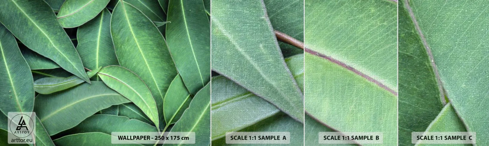 Échantillon de Papier Peint Premium Canvas - Juteux et frais - Feuilles, Eucalyptus, Nature - 100x30 cm