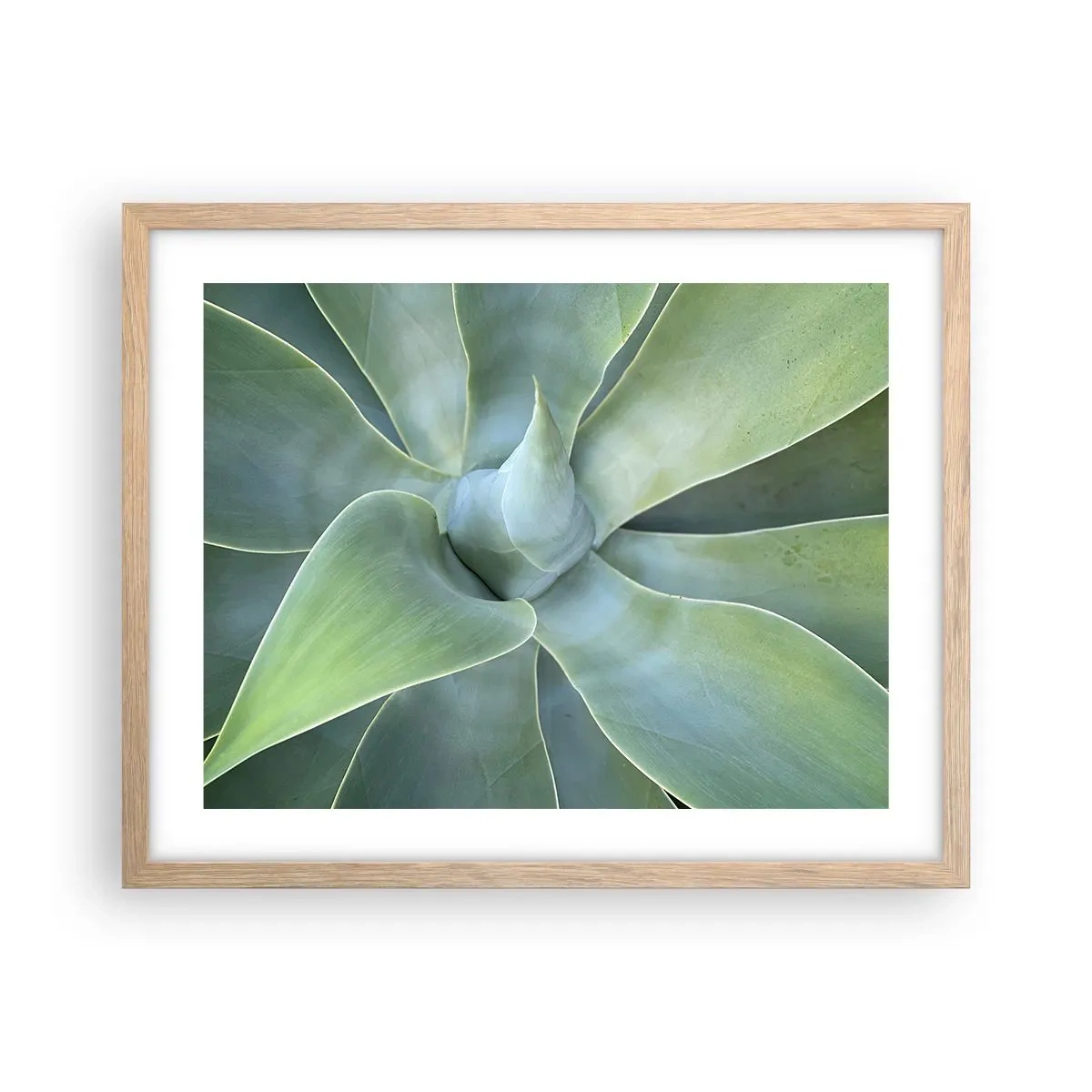 Affiche dans un chêne clair - Poster - La naissance de la verdure - 50x40 cm