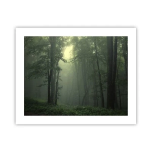 Affiche - Poster - Avant qu'il ne se réveille - 50x40 cm