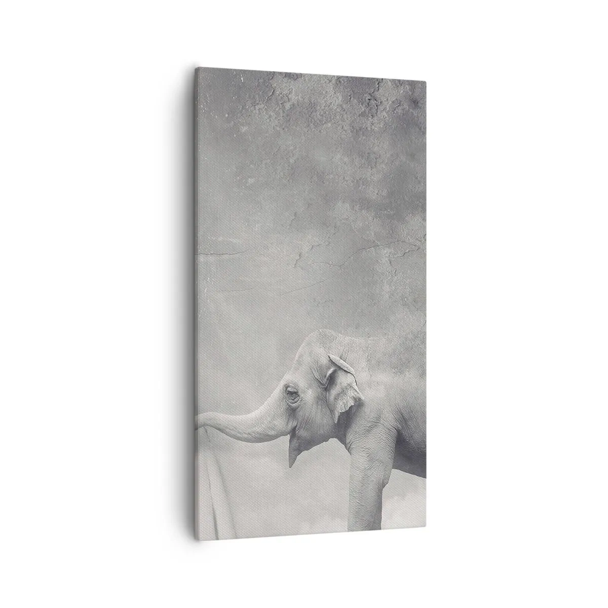 Impression sur toile - Image sur toile - Révéler le mystère - 55x100 cm