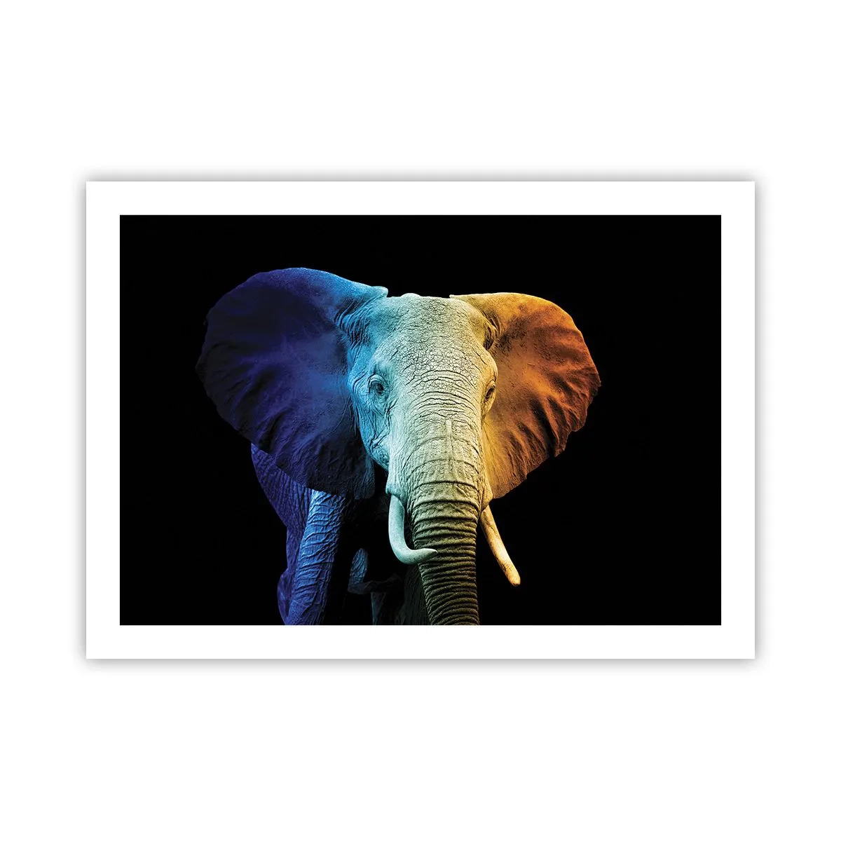Affiche - Poster - Excentrique, pas bizarre - 70x50 cm