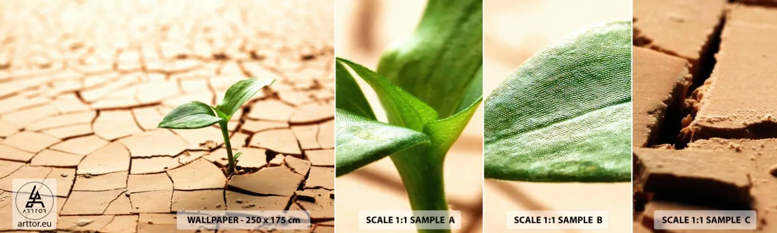 Échantillon De Papier Peint Standard Eco - La force indomptable de la vie - Nature, Usine, Sécheresse - 100x30 cm