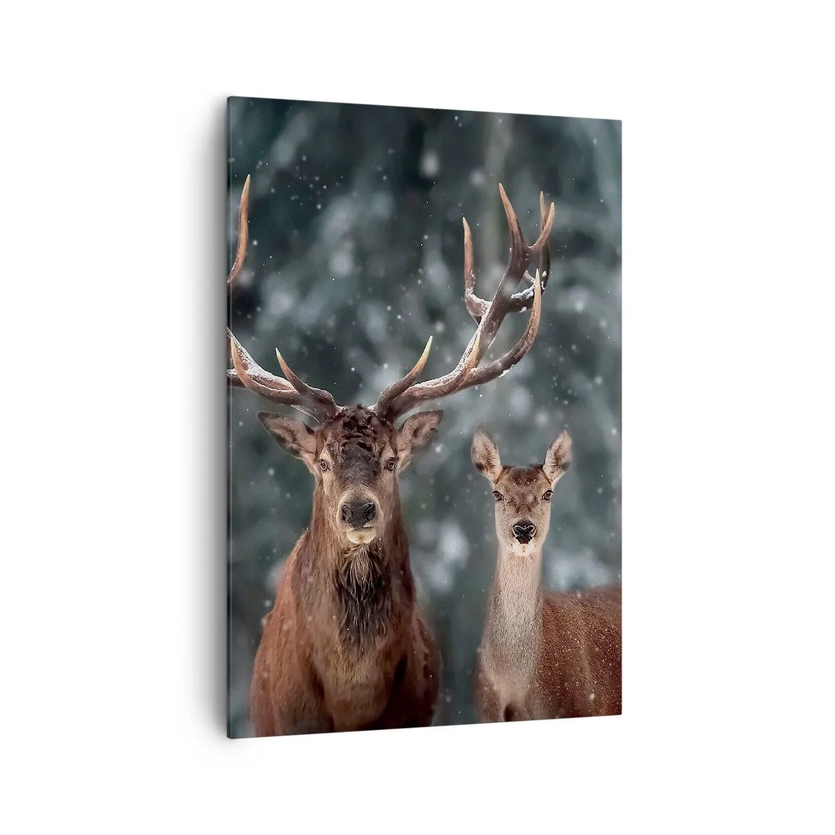 Impression sur toile - Image sur toile - Cerf dans une forêt d'hiver enneigée - 70x100cm - Le roi de la forêt avec sa femme - Décoration murale moderne pour le salon et la chambre ARTTOR