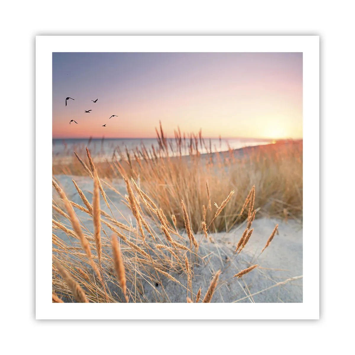 Affiche - Poster - Berceuse baltique - 60x60 cm