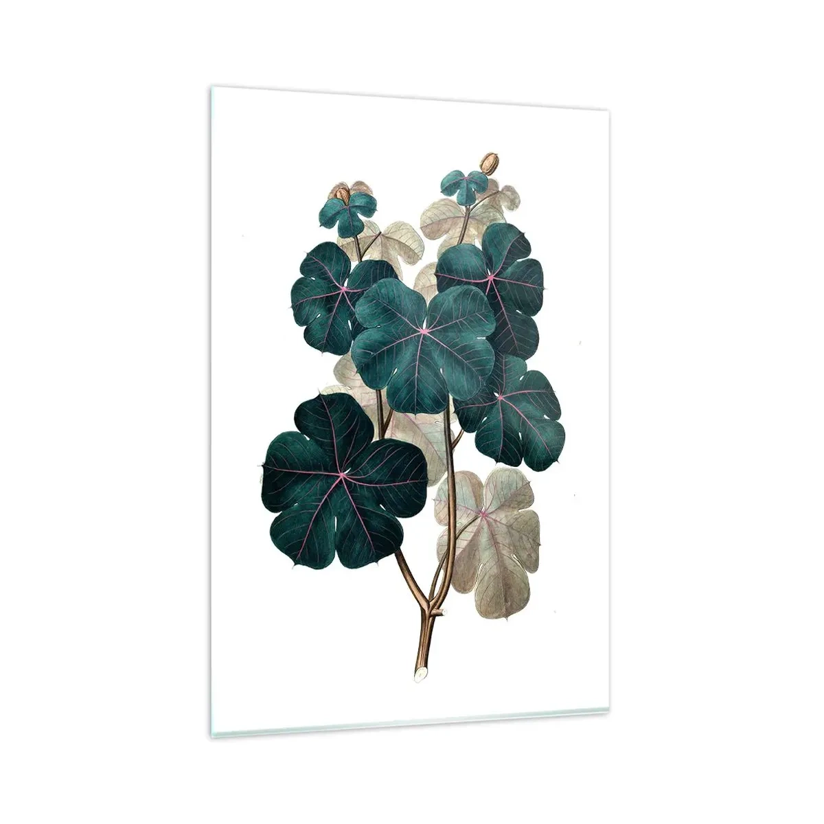 Impression sur verre - Image sur verre - Illustration botanique avec des feuilles dans les tons de vert et de beige - 80x120cm - De l'ancien herbier - Décoration murale moderne pour le salon et la chambre ARTTOR