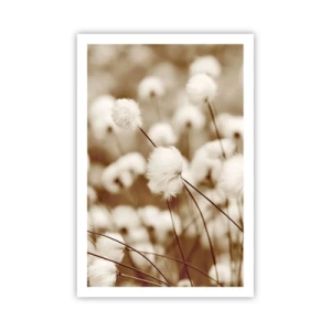 Affiche - Poster - Tige moelleuse - 61x91 cm