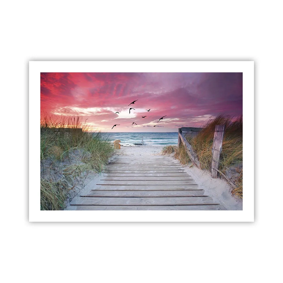 Affiche - Poster - Impression de la Baltique - 70x50 cm