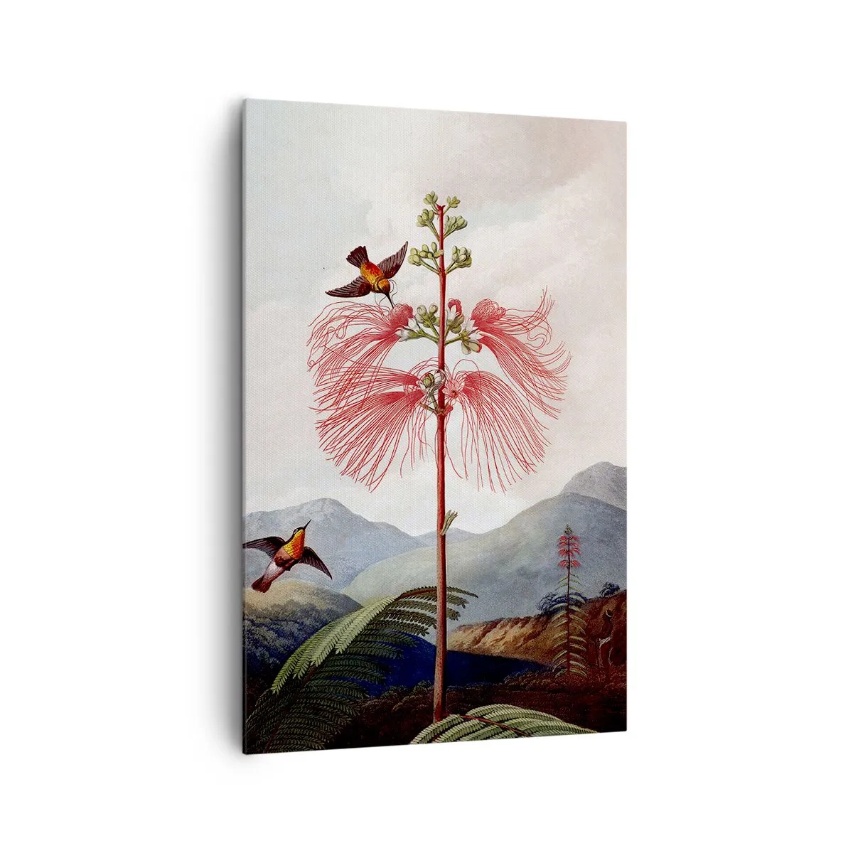 Impression sur toile - Image sur toile - Dans un paradis tropical - 80x120 cm