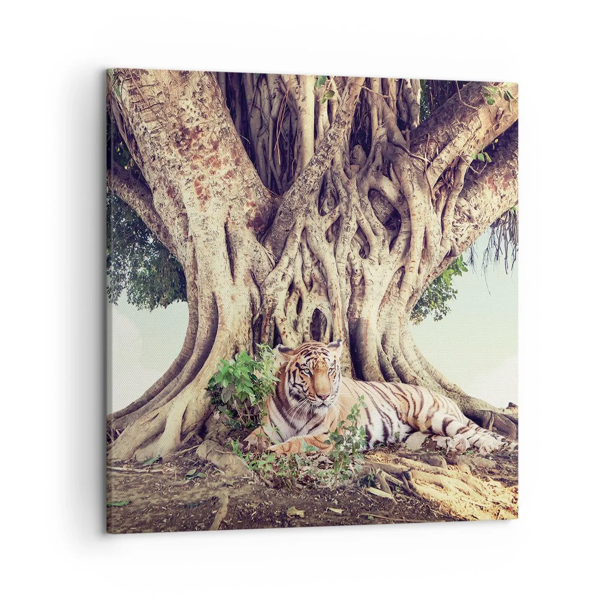 Impression sur toile - Image sur toile - Vue du Livre de la Genèse - 50x50 cm