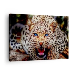 Impression sur toile - Image sur toile - Un léopard menaçant aux yeux bleus intenses - 70x50cm - La colère de la beauté ne fait pas de mal - Décoration murale moderne pour le salon et la chambre ARTTOR