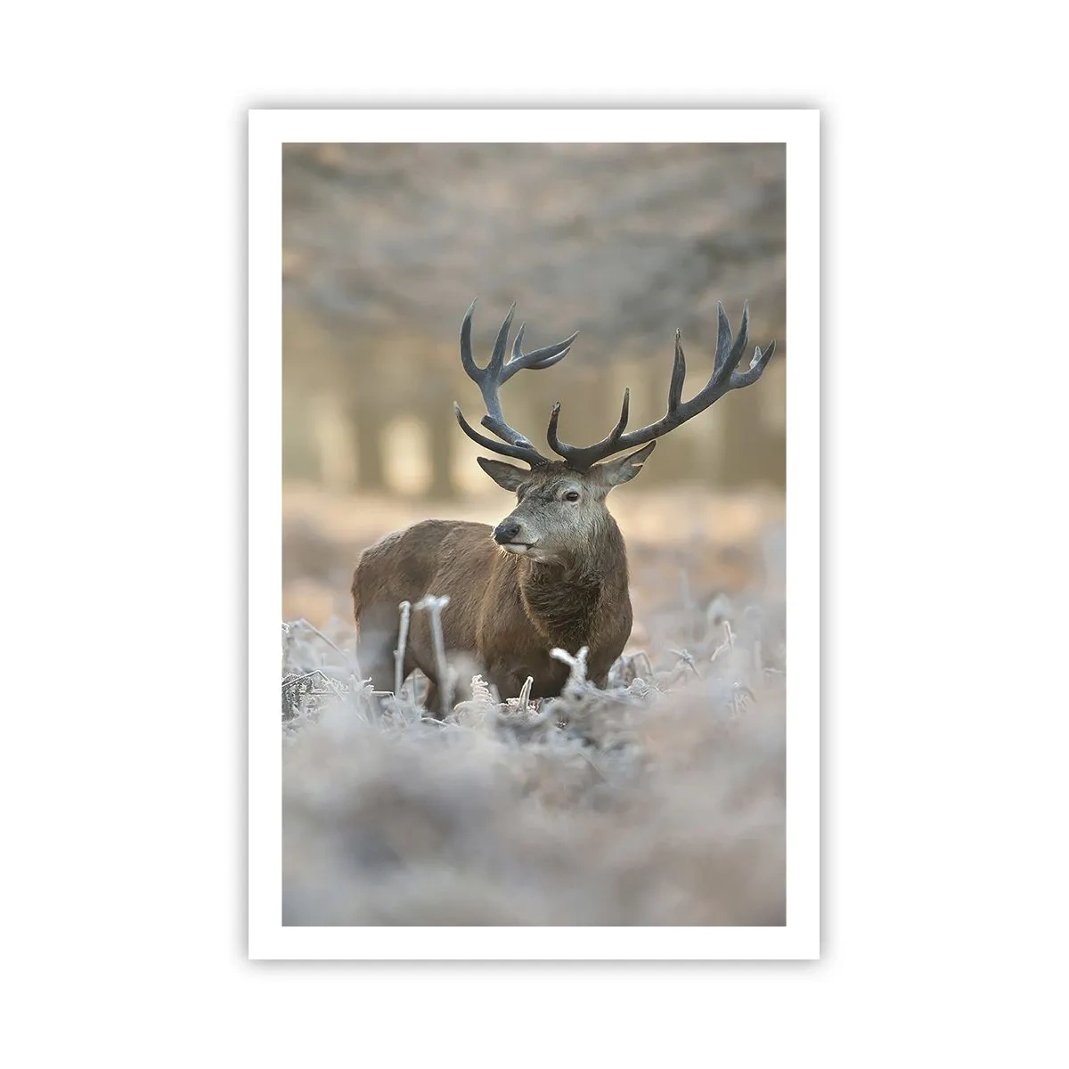 Affiche - Poster - Une matinée animée - 61x91 cm