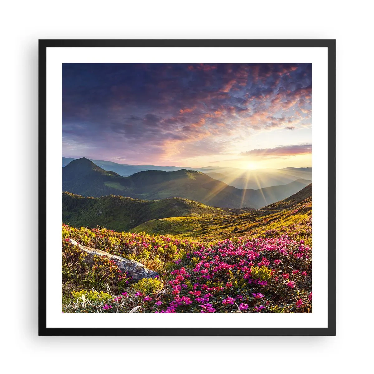 Affiche dans un cadre noir - Poster - Fraîcheur matinale en montagne - 60x60 cm