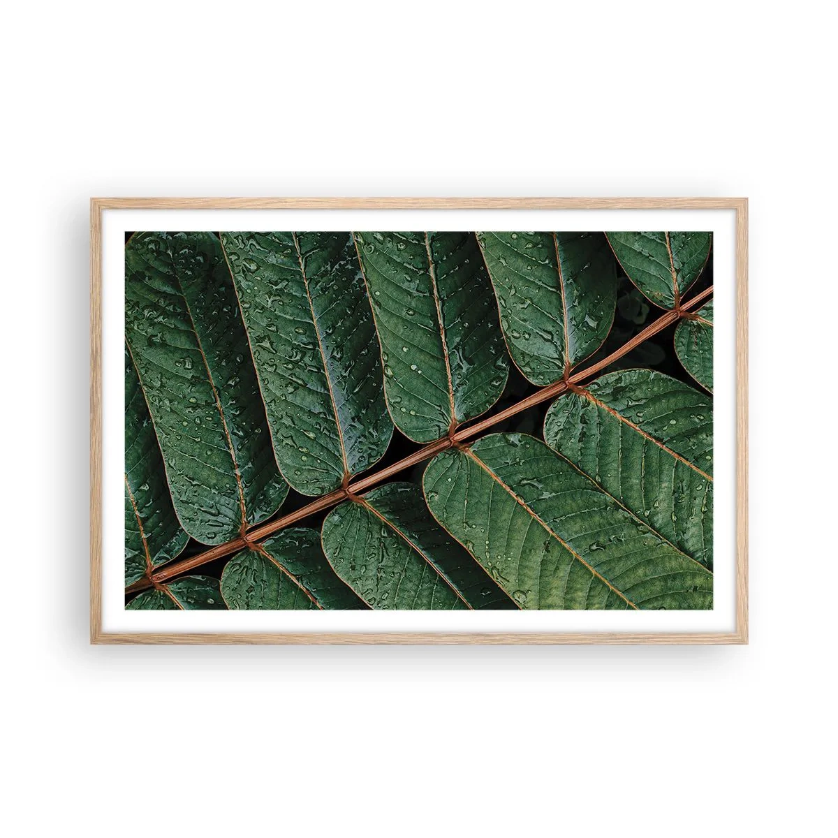Affiche dans un chêne clair - Poster - Au rythme de la verdure - 91x61 cm