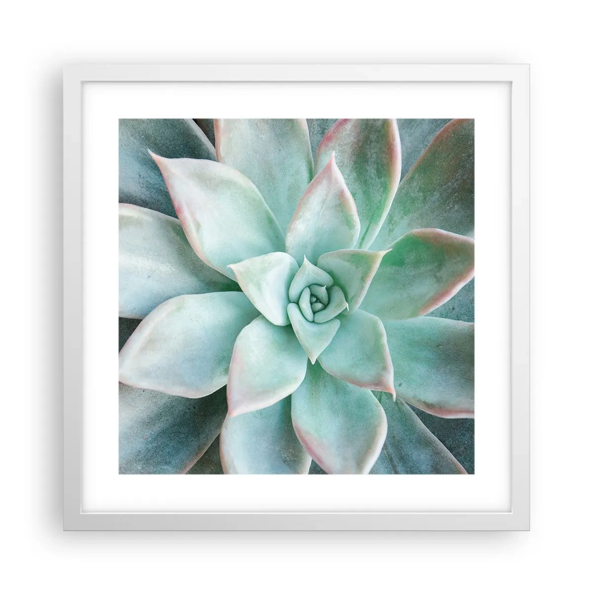 Affiche dans un cadre blanc - Poster - Le coeur du désert - 40x40 cm