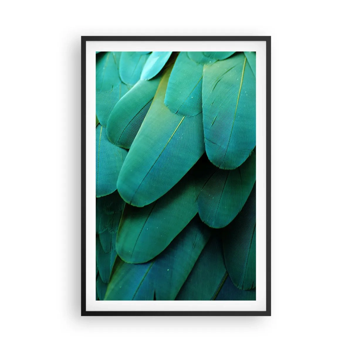 Affiche dans un cadre noir - Poster - Perfection de la nature du perroquet - 61x91 cm