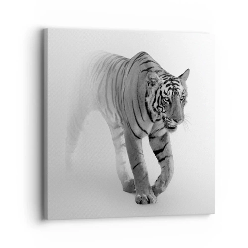 Impression sur toile - Image sur toile - Accroupi dans le brouillard - 30x30 cm