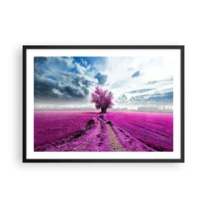 Affiche dans un cadre noir - Poster - Un arbre solitaire dans un champ dans une nuance de rose intense - 70x50cm - Lande - nature sauvage - Décoration murale moderne pour le salon et la chambre ARTTOR