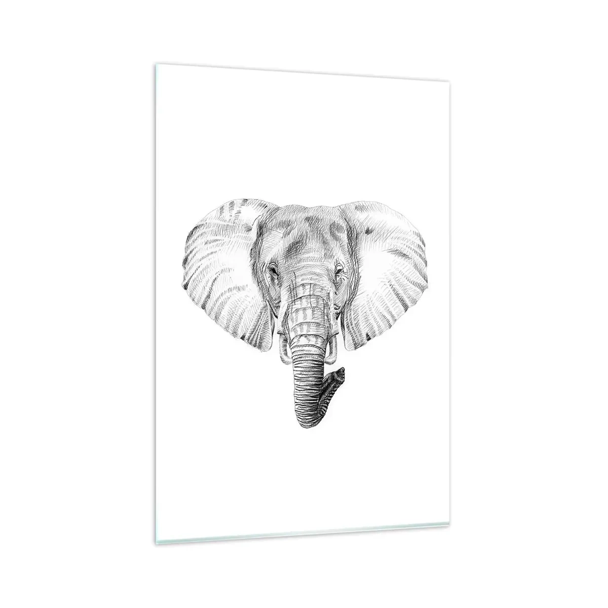 Impression sur verre - Image sur verre - Dessin en noir et blanc d'une tête d'éléphant sur fond blanc - 80x120cm - "Un éléphant ça trompe bien souvent" - Décoration murale moderne pour le salon et la chambre ARTTOR