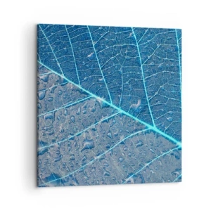 Impression sur toile - Image sur toile - La vie en bleu - 50x50 cm