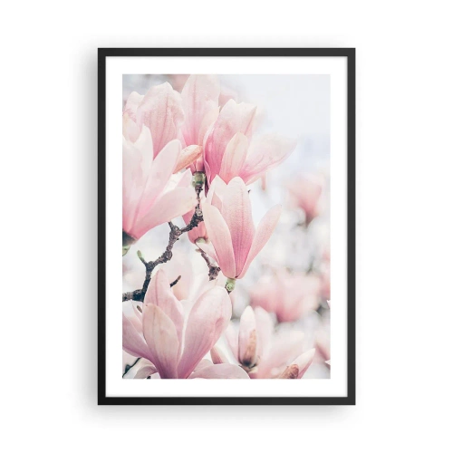 Affiche dans un cadre noir - Poster - Magnolias roses dans un décor printanier subtil - 50x70cm - Idéal de la subtilité - Décoration murale moderne pour le salon et la chambre ARTTOR