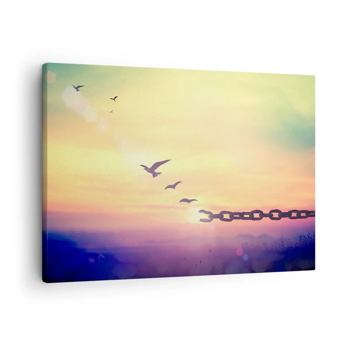 Impression sur toile - Image sur toile - Symbole de liberté avec des oiseaux et une chaîne brisée - 70x50cm - La victoire de la liberté - Décoration murale moderne pour le salon et la chambre ARTTOR