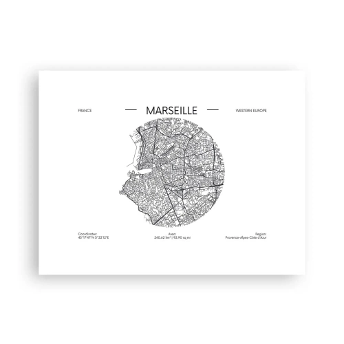 Affiche - Poster - Anatomie de Marseille - 40x30 cm