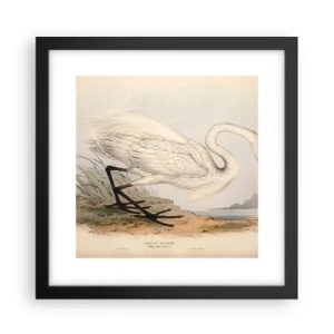 Affiche dans un cadre noir - Poster - Dame sur les joncs - 30x30 cm